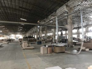 IMG_7569